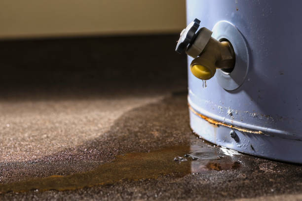 Best Water damage contractors near me  in Hollandale, MS