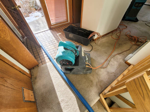 Best Sewage cleanup and water damage restoration  in Hollandale, MS