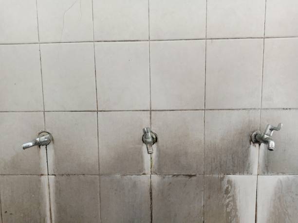 Best Fire Damage Restoration  in Hollandale, MS