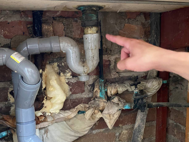  Hollandale, MS Water damage restoration Pros