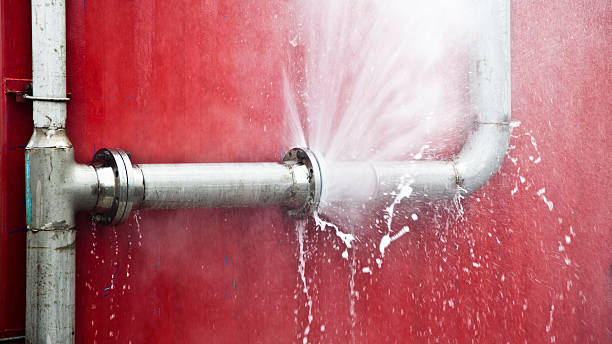 Best Water damage restoration near me  in Hollandale, MS