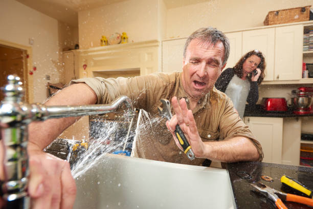 Best Water damage restoration experts  in Hollandale, MS